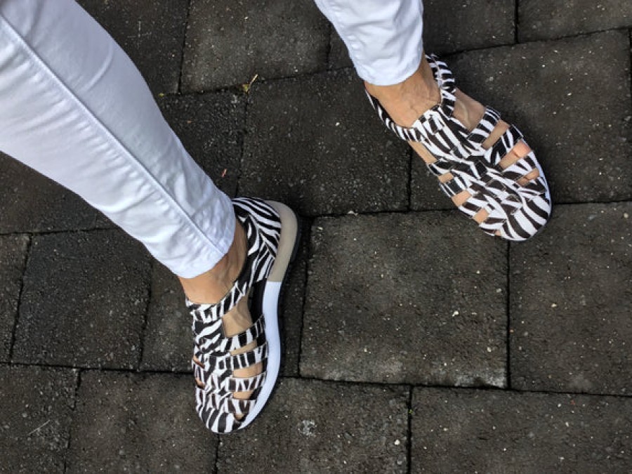 Orthotic Friendly Tango's Shoes | Gioseppo Galia Zebra Multi