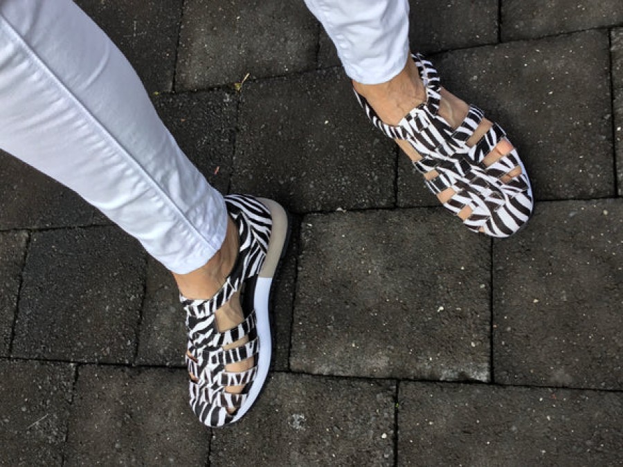 Casual Tango's Shoes | Gioseppo Galia Zebra Multi