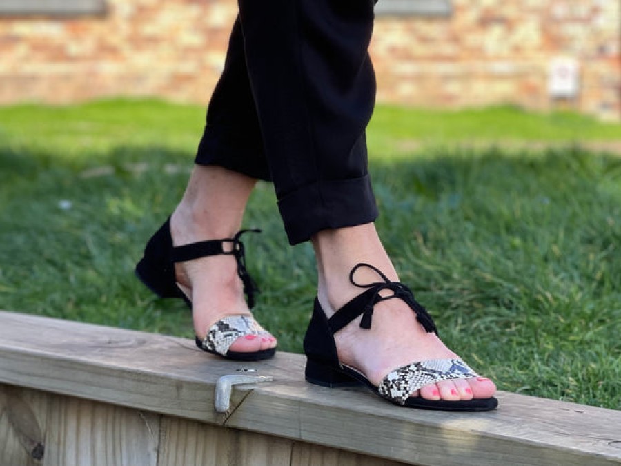 Size 36 Tango's Shoes | Marianne Makala Black/Snake